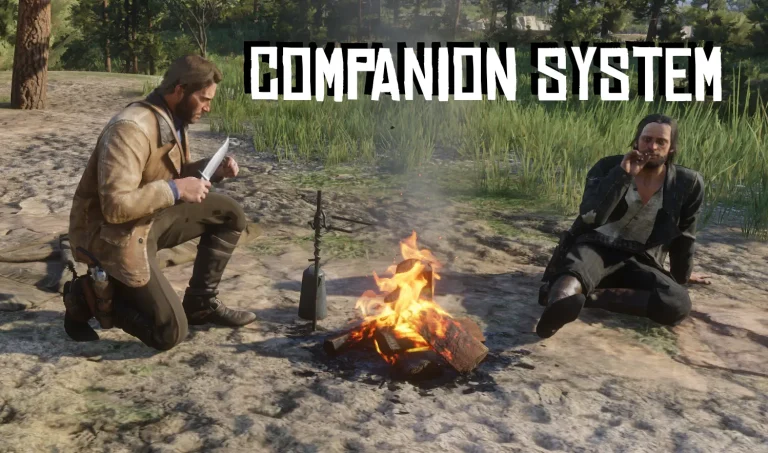 同伴系统（Companion System）