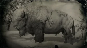 完美兽皮（Perfect Pelts）