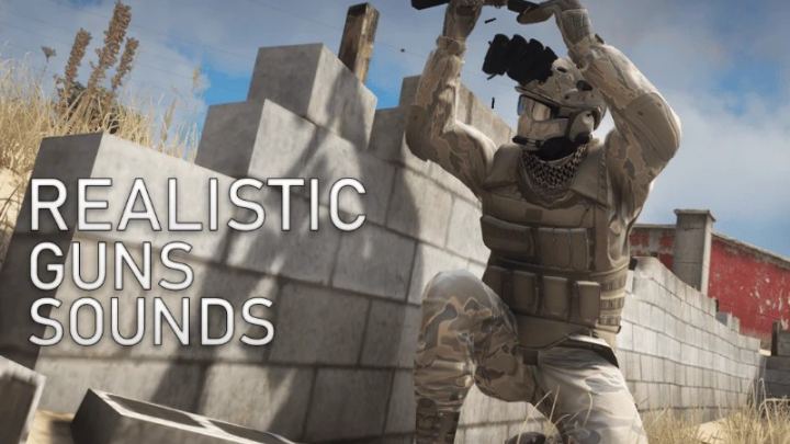 逼真的枪声（Realistic Guns Sounds）