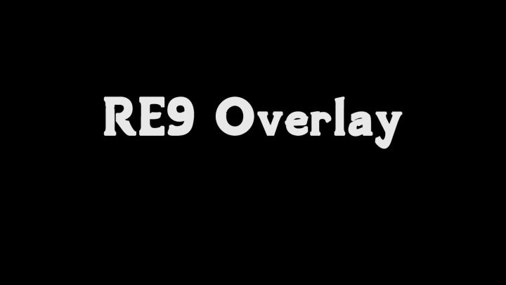 RE9 覆盖层（RE9 Overlay）