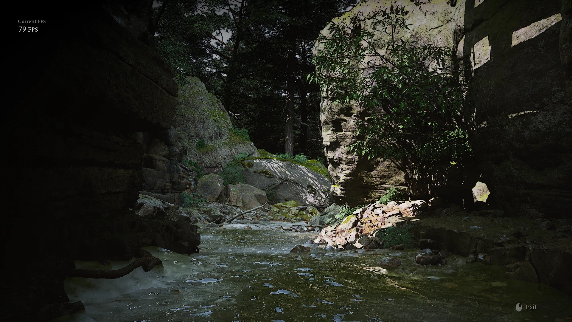 image_1780096413079_jkhcby