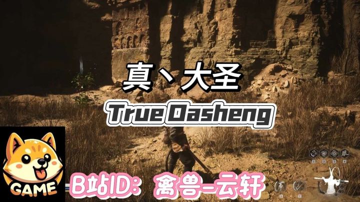 真大圣（TrueDasheng）