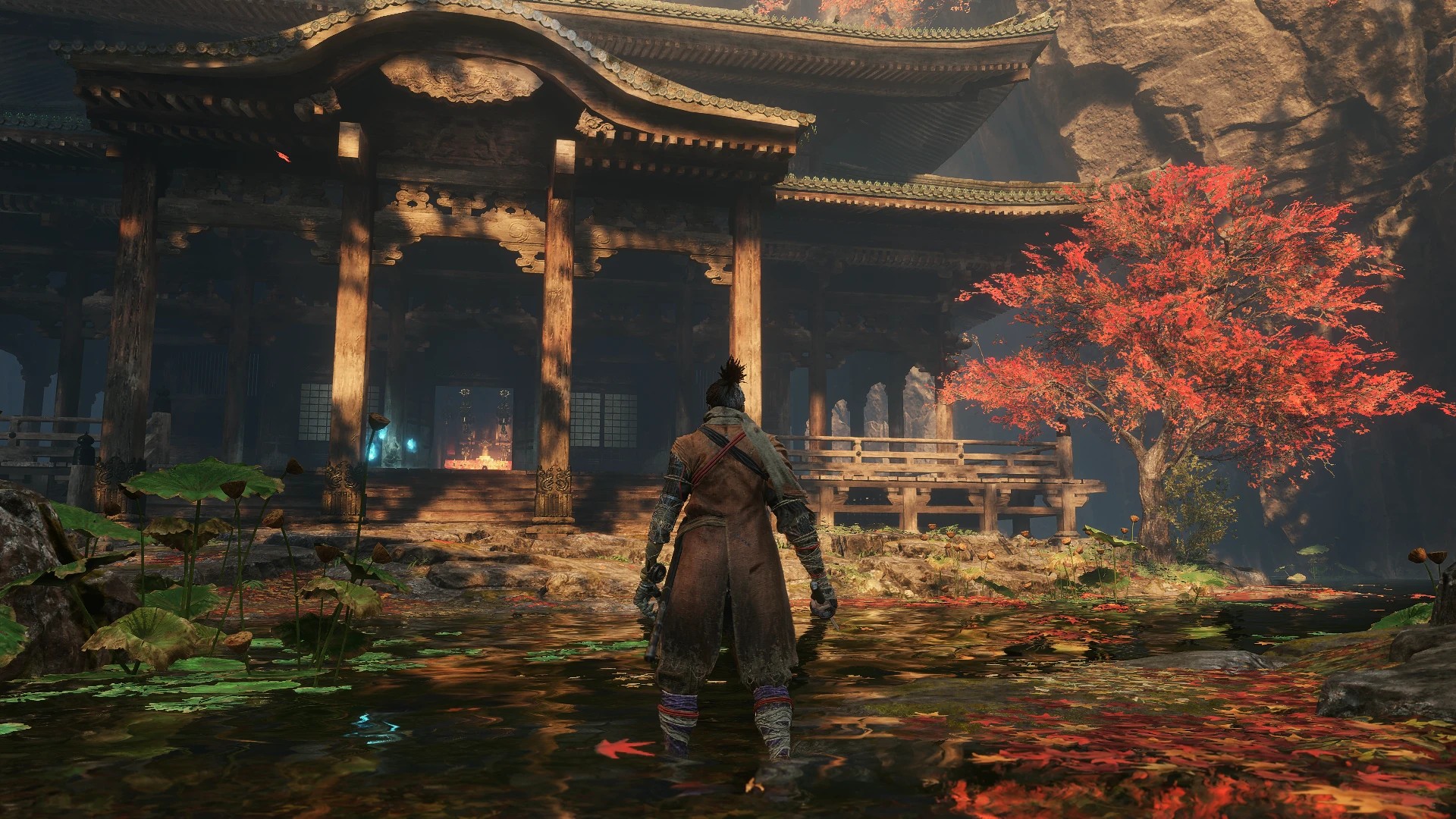 image_1780355739290_jp1z0p