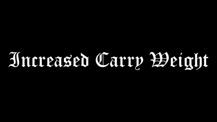 增加携带重量（Increased Carry Weight）
