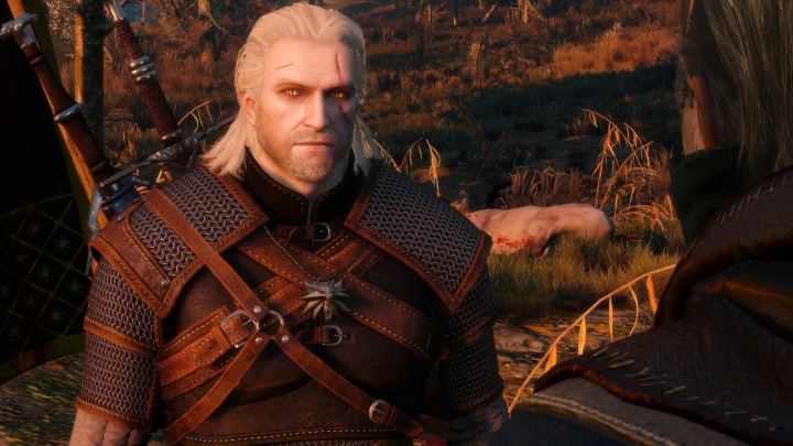 符合原作设定的猎魔人（Lore-friendly Witchers）