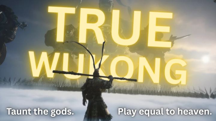 真悟空 – OneMod 更新 – 自定义幻化（True Wukong – OneMod update – Custom transmog）