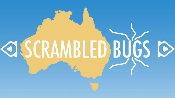 《错乱漏洞集合》（Scrambled Bugs）