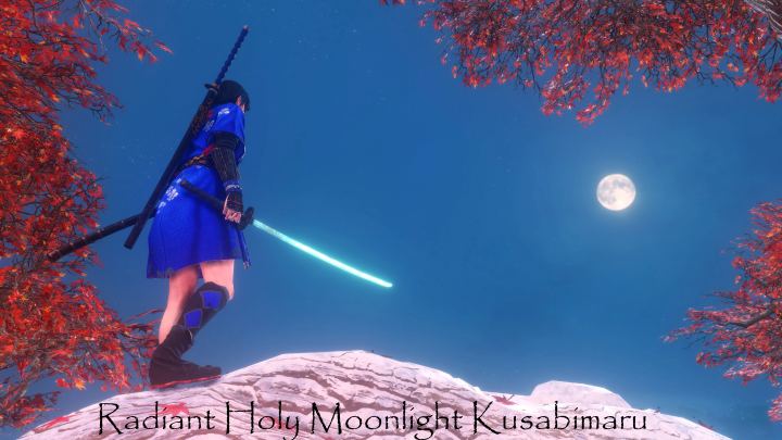 圣月光 楔丸（Holy Moonlight Kusabimaru）