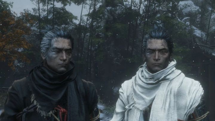 黑色只狼（与白色只狼）（Black Sekiro (and White)）