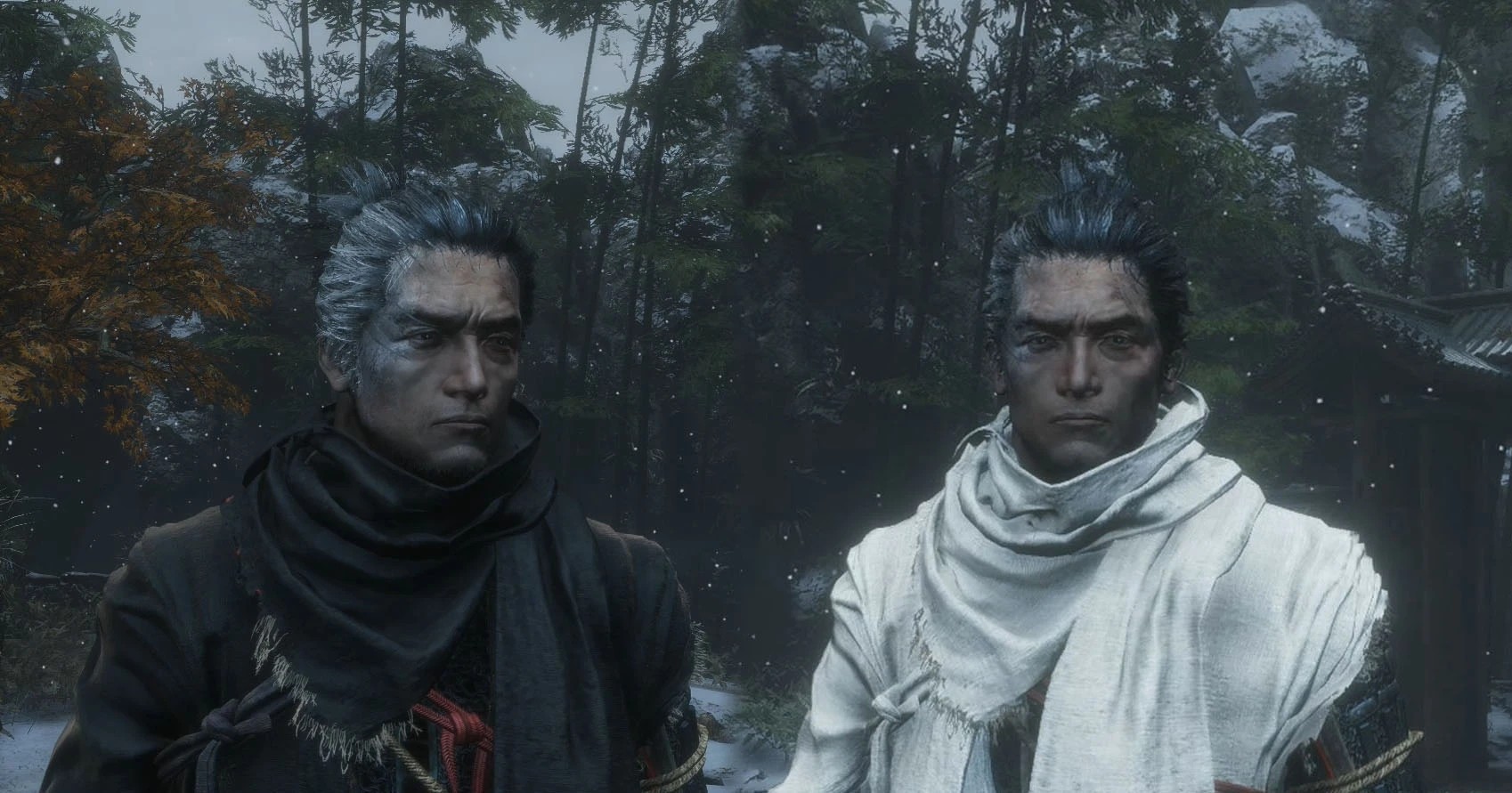 黑色只狼（与白色只狼）（Black Sekiro (and White)）