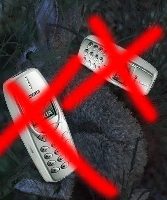 动物不会报警（Animals won’t call Cops）