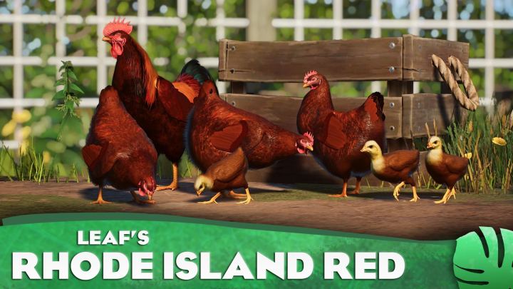 《罗德岛红鸡——新的家养物种（1.17版本）》（Rhode Island Red Chicken – New Domestic Species (1.17)）