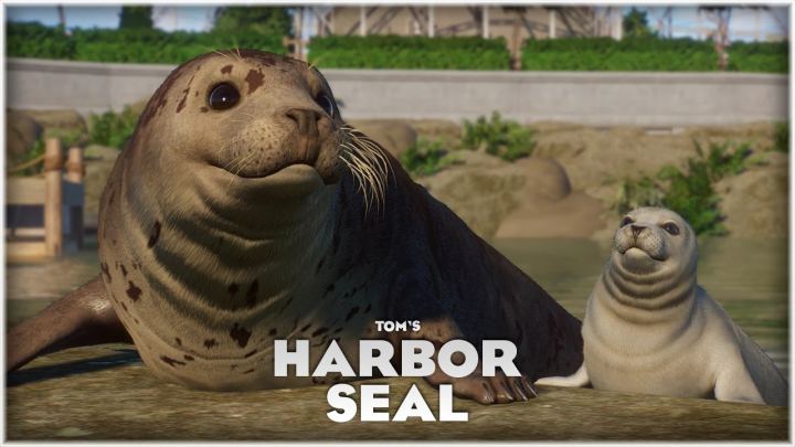 港海豹 – 新物种 (1.12)（Harbor Seal – New Species (1.12)）