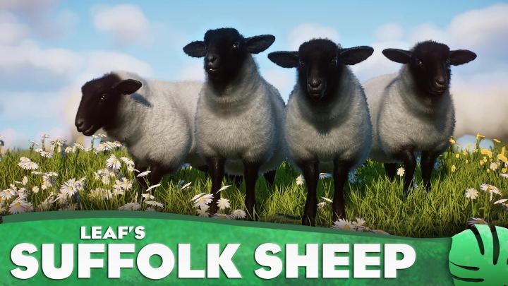 萨福克羊 – 新的本土物种（1.17版本）（Suffolk Sheep – New Domestic Species (1.17)）