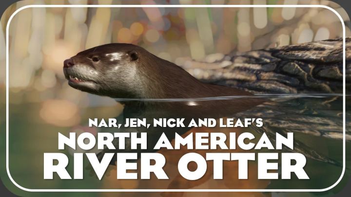 北美水獭 – 新物种（1.13版本）（North American River Otter – New Species (1.13)）