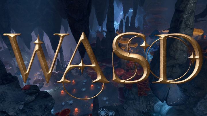 WASD角色移动（WASD Character Movement）