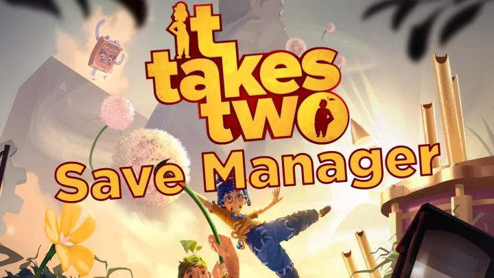 存档管理器（Save Manager）