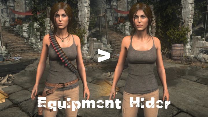 设备隐藏器（Equipment Hider）