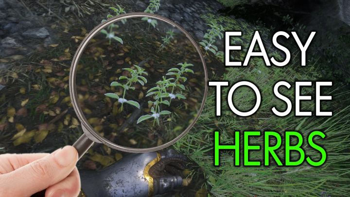 一目了然的香草（Easy To See Herbs）