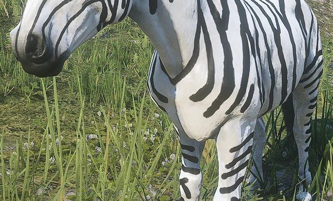 一匹斑马（A Zebra）