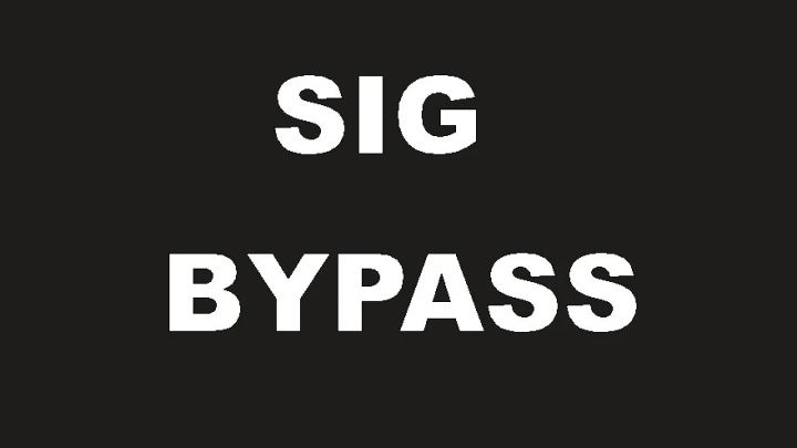 签名绕过与模组启用工具（Sig Bypass and Mod Enabler）