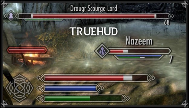 TrueHUD – 界面增强（TrueHUD – HUD Additions）
