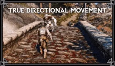 《真实定向移动——现代化第三人称游戏玩法》（True Directional Movement – Modernized Third Person Gameplay）