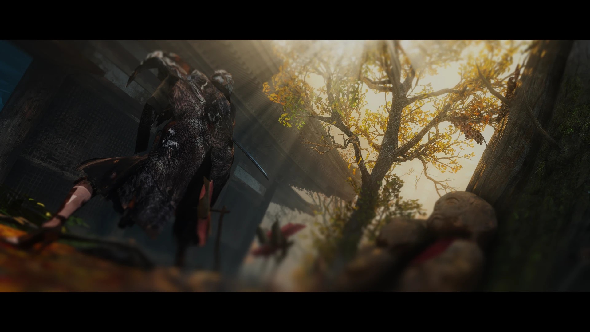 只狼昼夜与光照全面重制（Sekiro Time of Day and Lighting Overhaul）