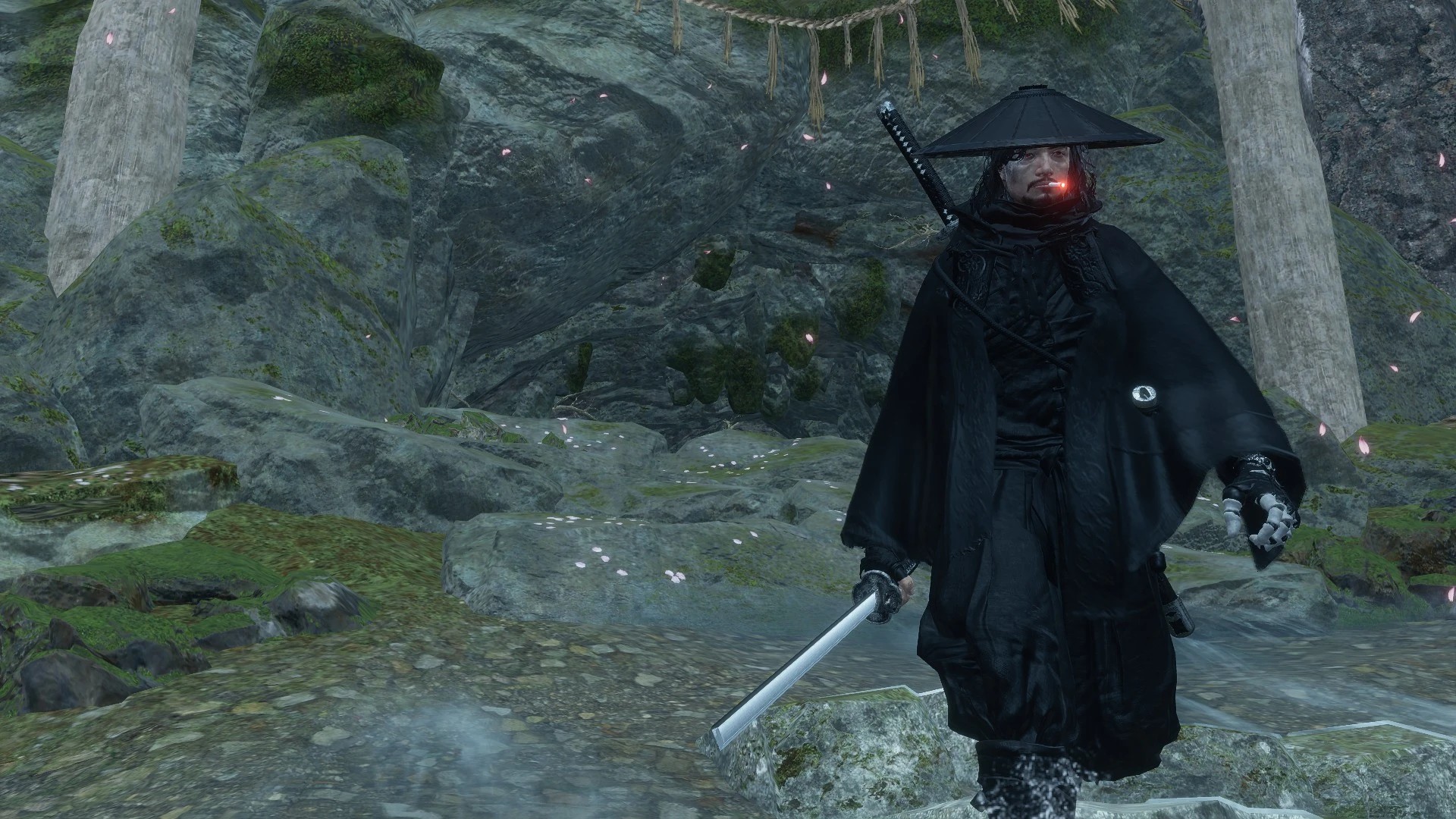 浪人漂泊（Wandering Ronin）