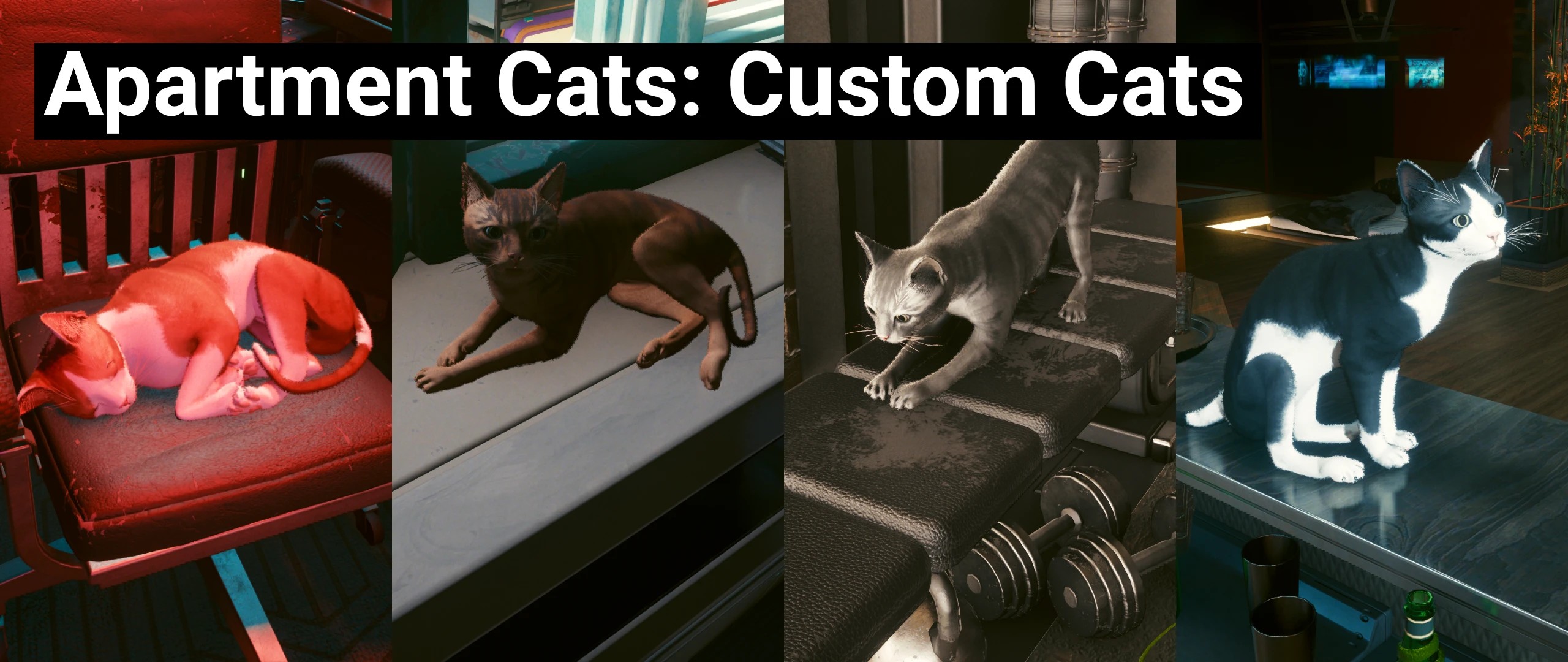 公寓猫 – 定制猫咪（Apartment Cats – Custom Cats）